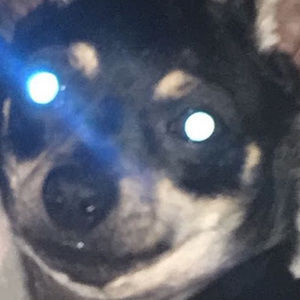 Meet your Posher, Christian